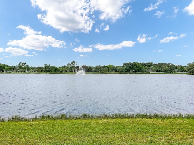 view of water feature