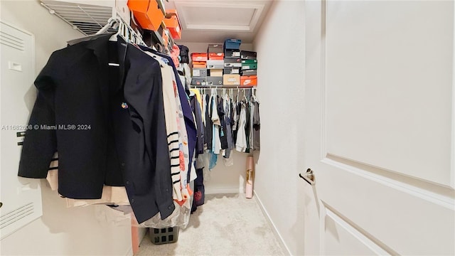 spacious closet featuring carpet floors