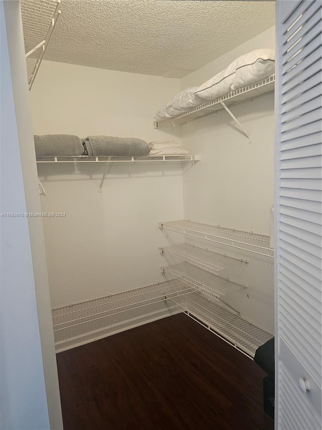 walk in closet with wood-type flooring