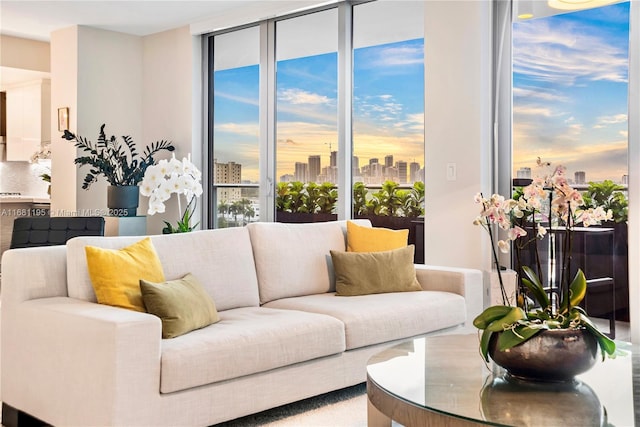 living room with a wall of windows