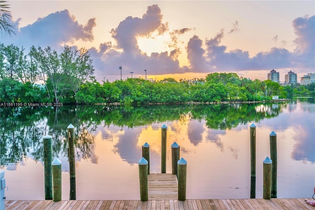 view of dock featuring a water view