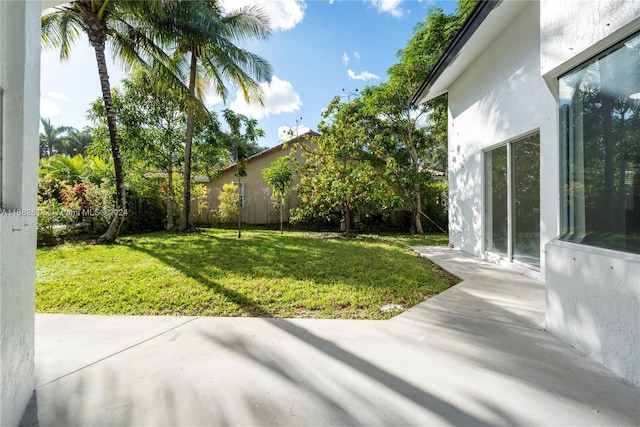 view of yard featuring a patio