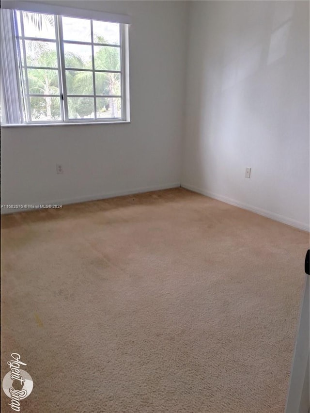 empty room featuring carpet