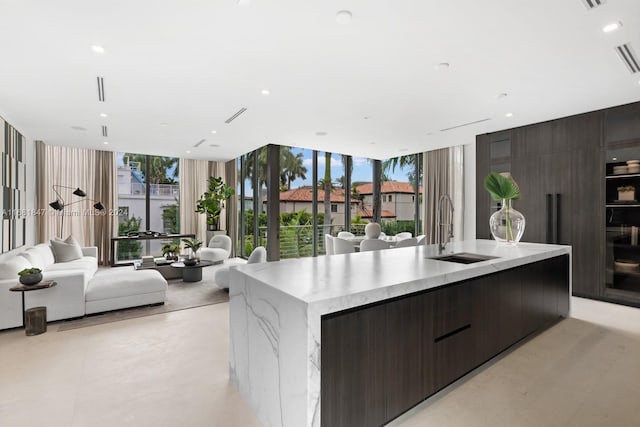 kitchen featuring a healthy amount of sunlight, sink, and an island with sink