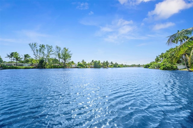 view of water feature