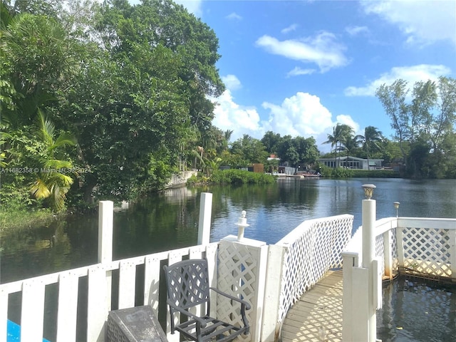 dock area with a water view