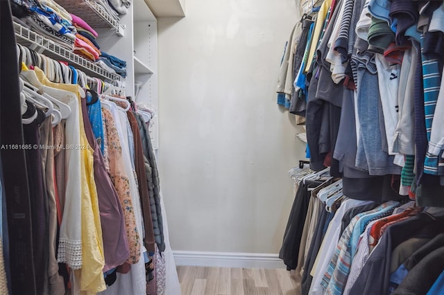 spacious closet with light wood-type flooring