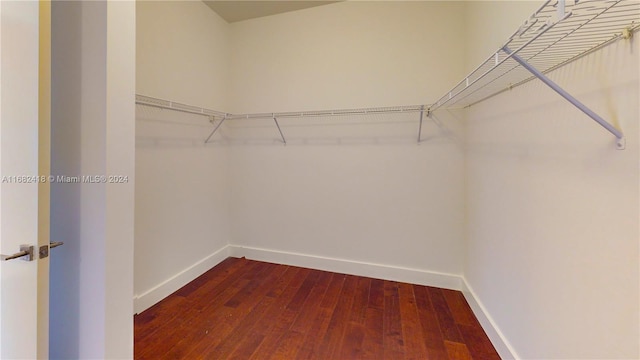 walk in closet with dark wood-type flooring