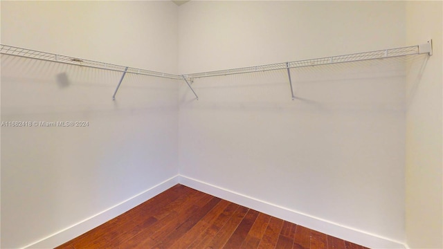 spacious closet with hardwood / wood-style floors