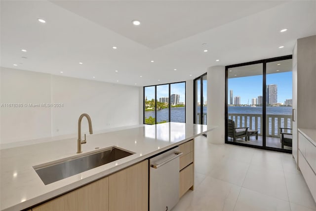 kitchen with stainless steel dishwasher, light brown cabinets, sink, and a wall of windows