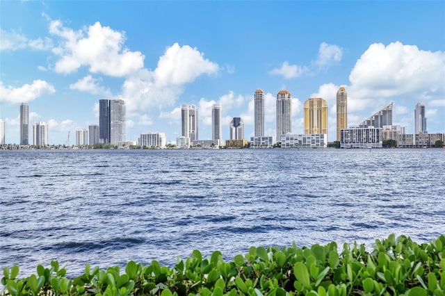 property view of water with a city view