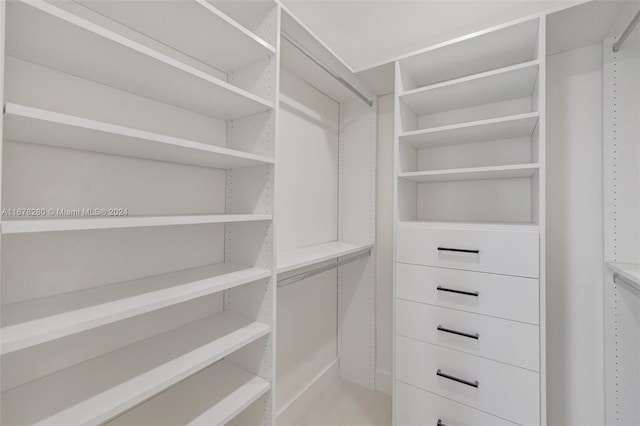 view of walk in closet