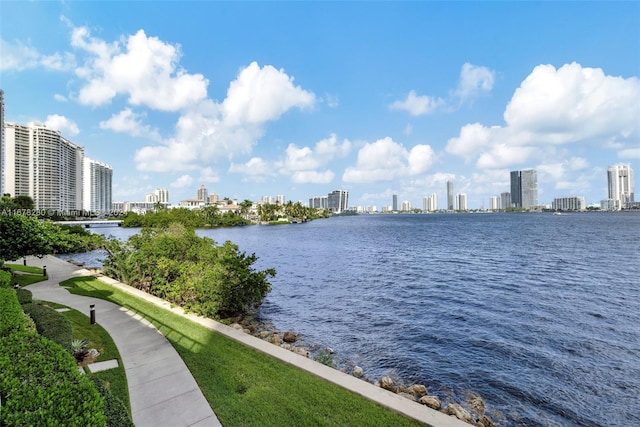 water view featuring a city view