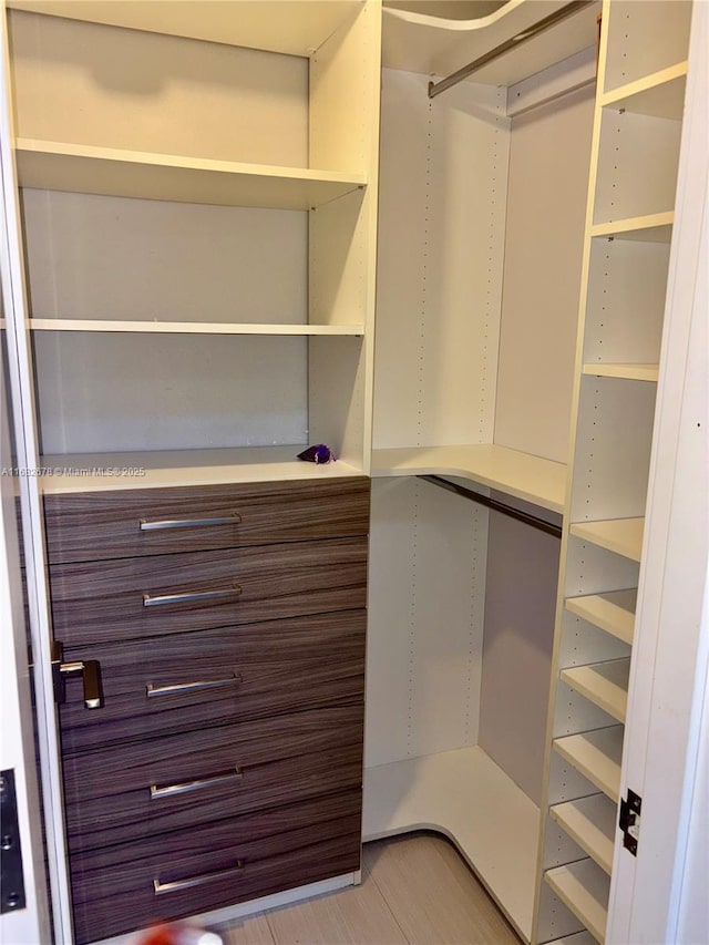 view of walk in closet