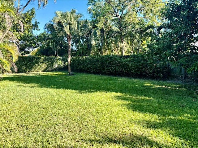 view of yard