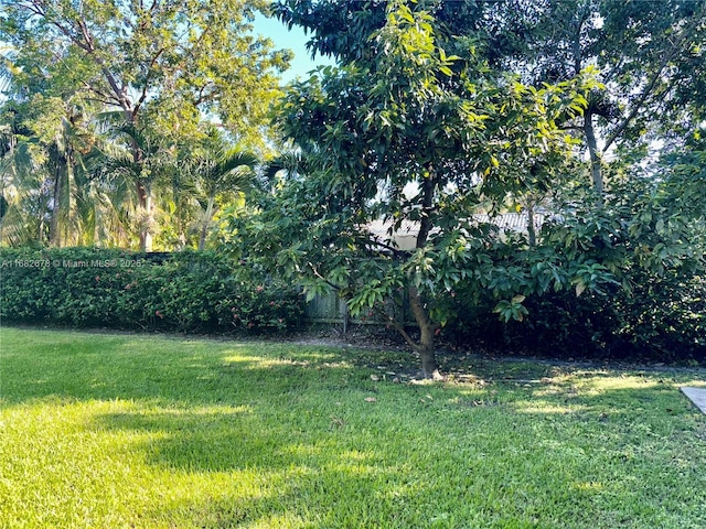 view of yard
