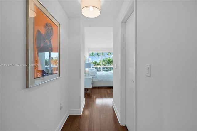 hall with dark hardwood / wood-style floors