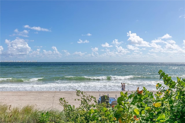 property view of water featuring a beach view