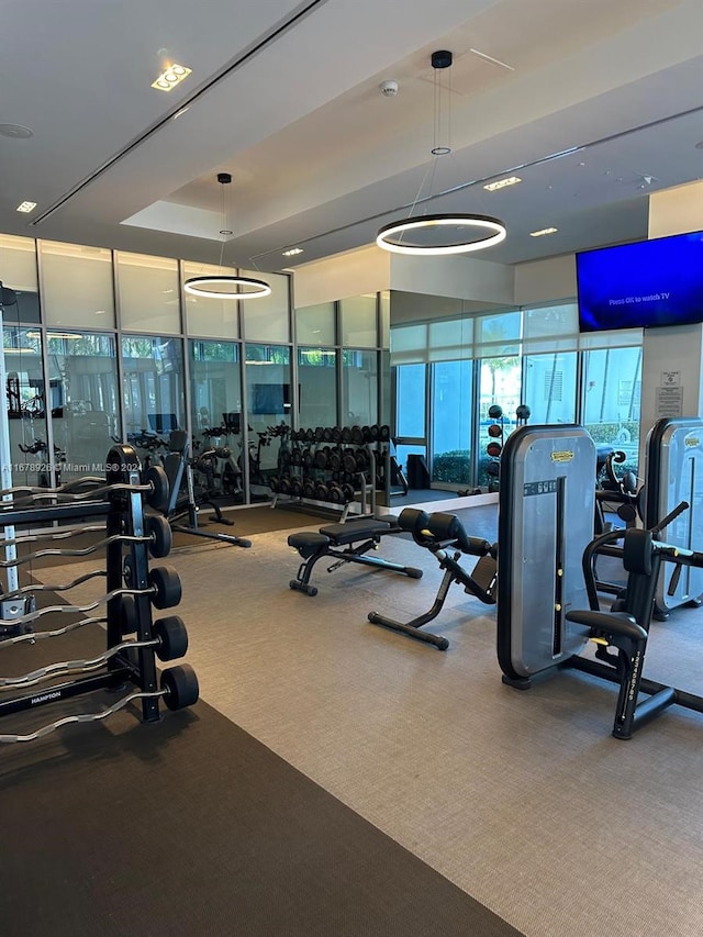 workout area featuring carpet and a wall of windows