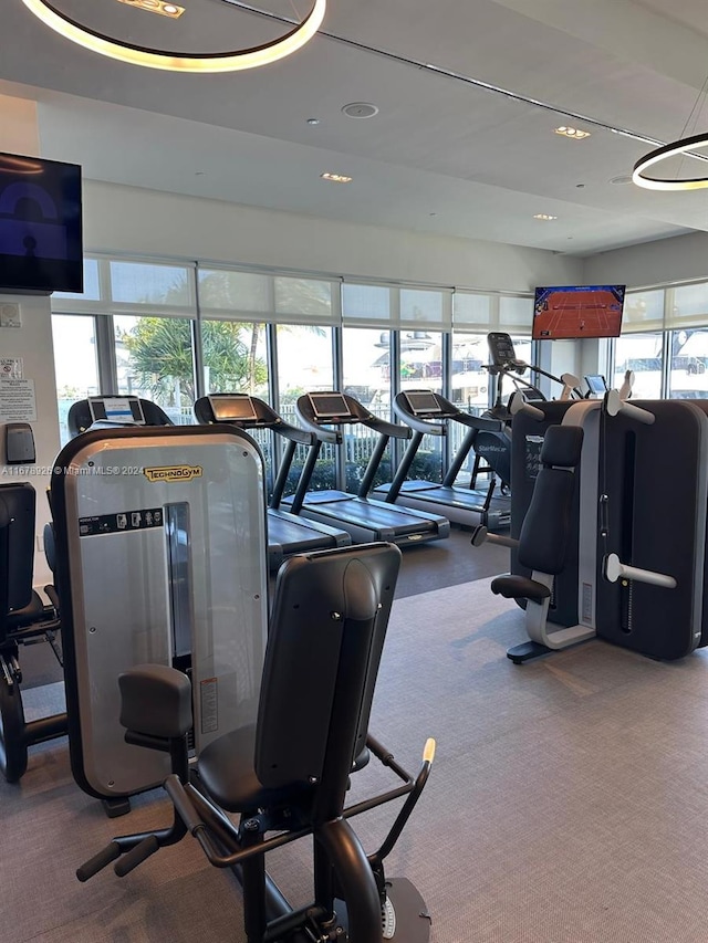 gym featuring carpet flooring and a healthy amount of sunlight