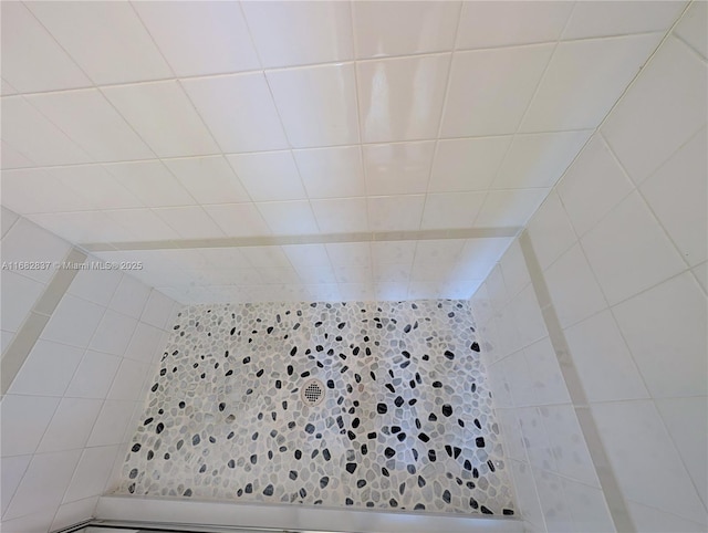 room details featuring a tile shower