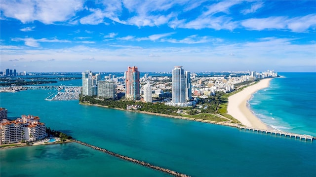 drone / aerial view with a water view and a view of the beach