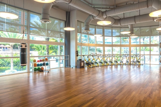 100 S Pointe Dr Unit 3402, Miami Beach, FL 33139 - exercise room featuring a high ceiling, healthy amount of natural light, wood finished floors, and a wall of windows