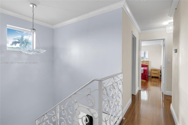 corridor with hardwood / wood-style flooring and ornamental molding