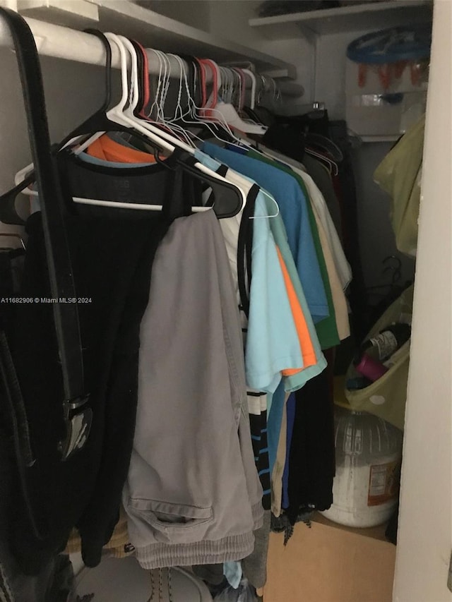 view of spacious closet