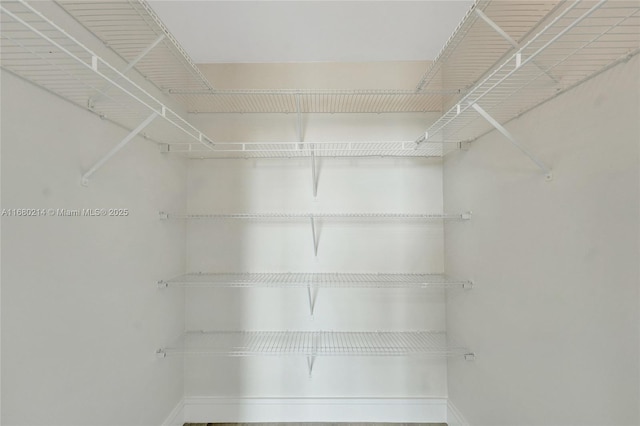 view of spacious closet