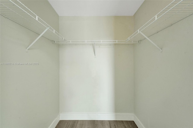 walk in closet featuring wood-type flooring