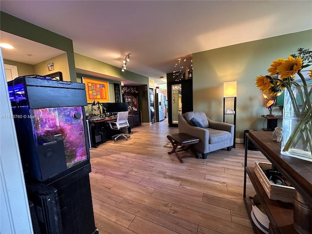 living room featuring light hardwood / wood-style flooring