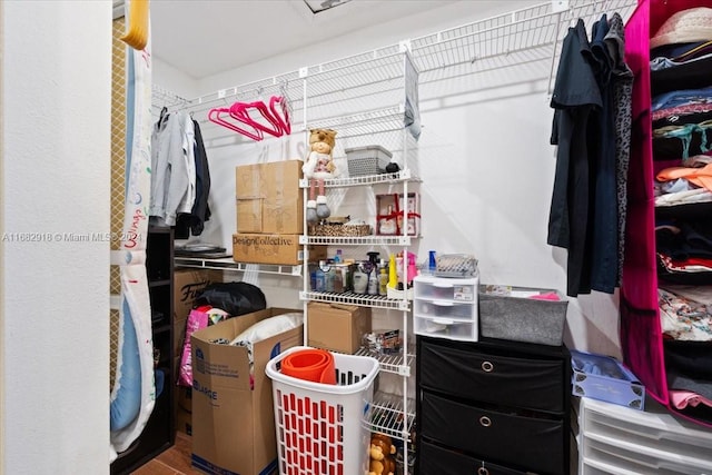 view of spacious closet