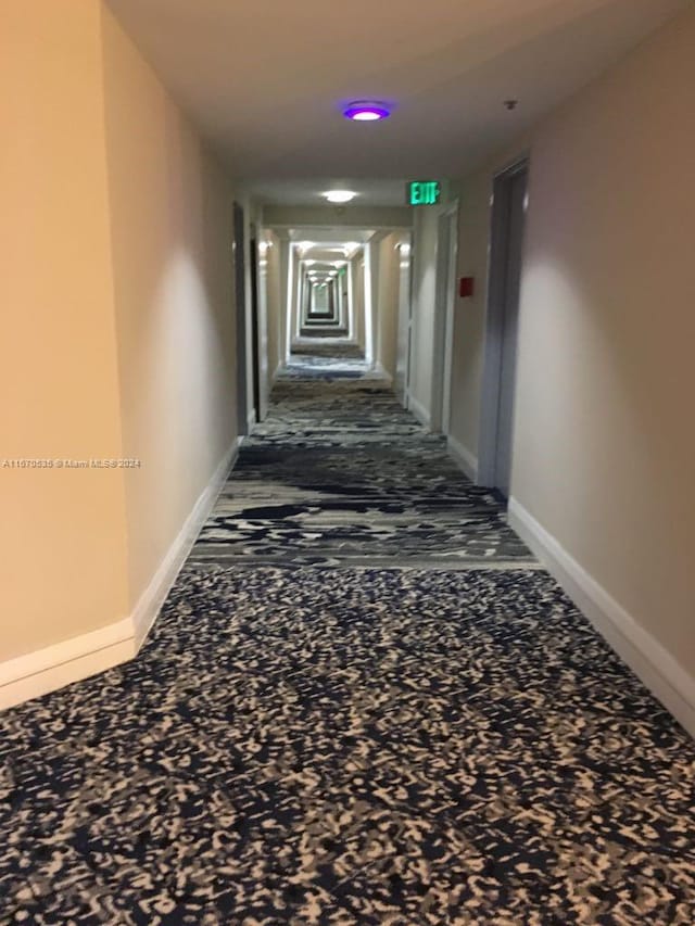 5161 Collins Ave Unit 801, Miami Beach, FL 33140 - hall featuring carpet and baseboards