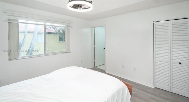 bedroom featuring light hardwood / wood-style floors and a closet