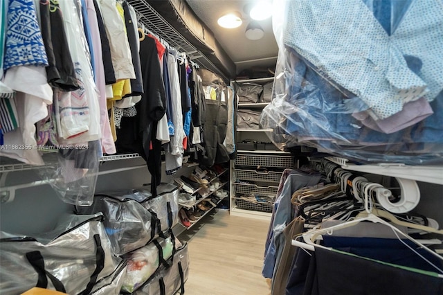 walk in closet with light wood-type flooring