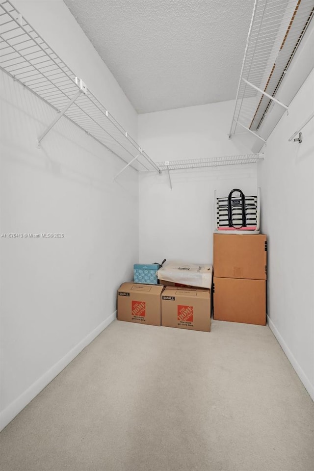 428 SE 11th Ter, Dania Beach, FL 33004 - walk in closet with light carpet