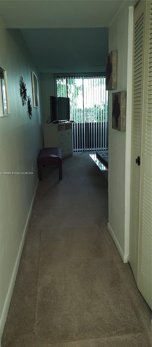 corridor featuring carpet floors