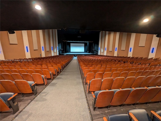 cinema featuring carpet floors