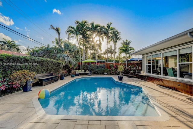 view of pool with a patio