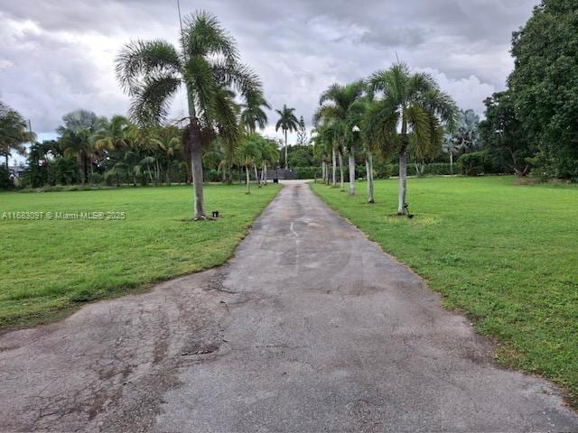 view of community with a lawn