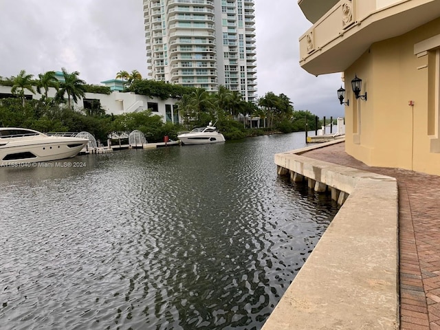 dock area with a water view