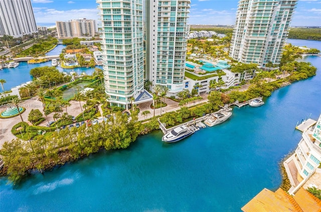 aerial view with a water view