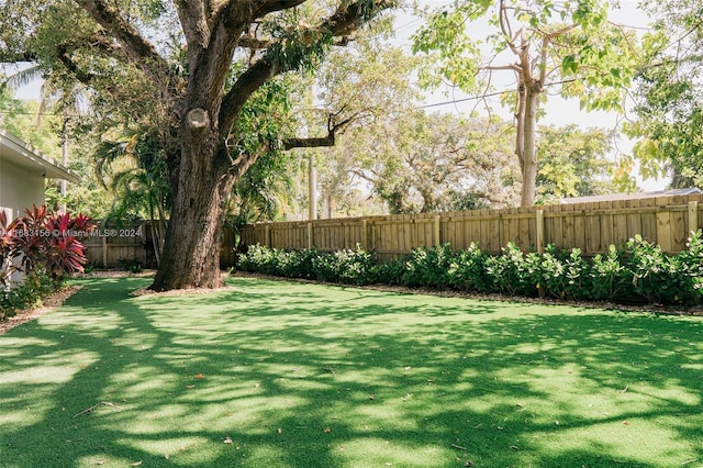 view of yard