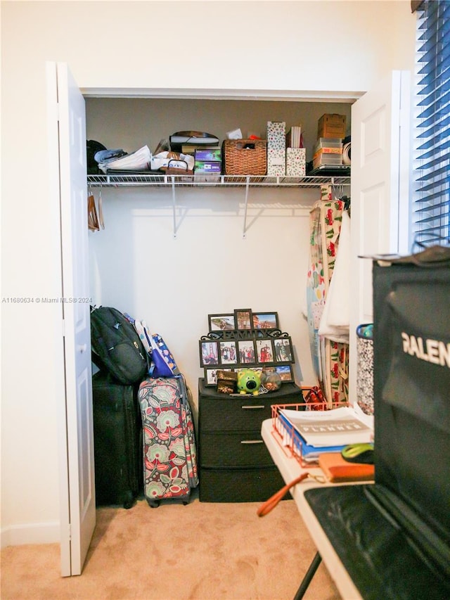 view of closet