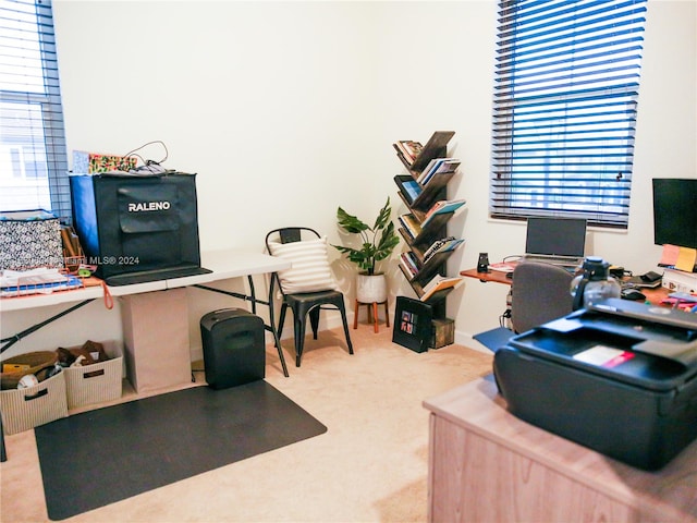 office with carpet flooring