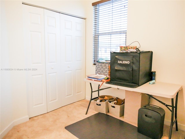 office area featuring carpet flooring