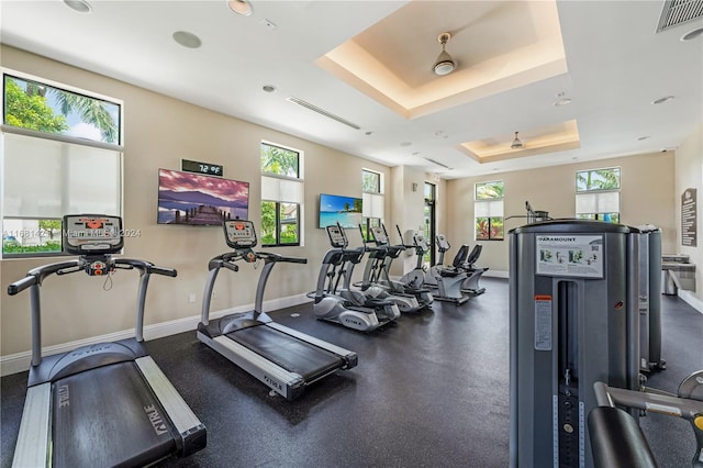 workout area with a healthy amount of sunlight and a raised ceiling