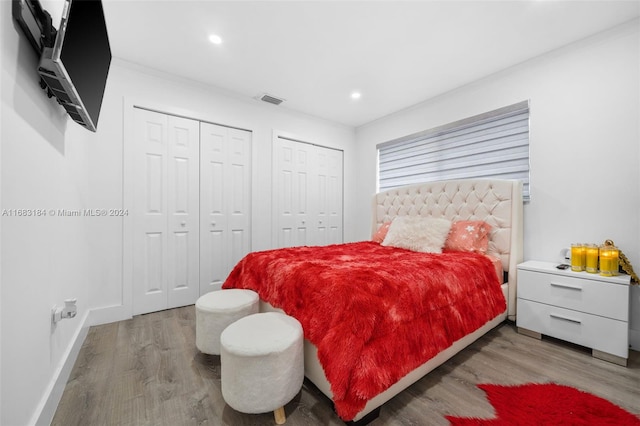 bedroom with wood-type flooring and multiple closets