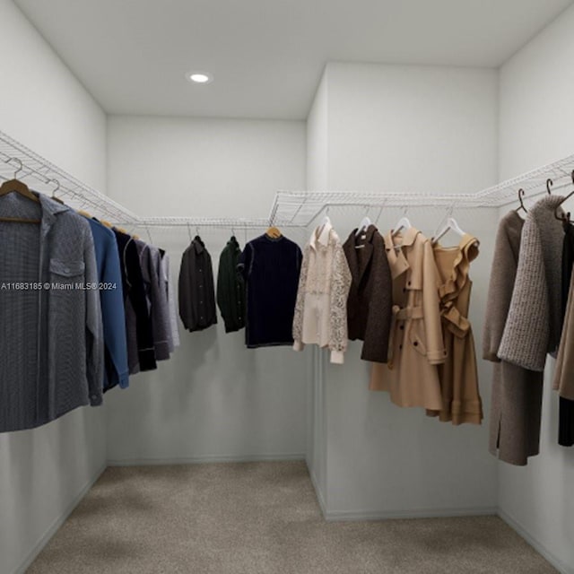 spacious closet featuring light carpet